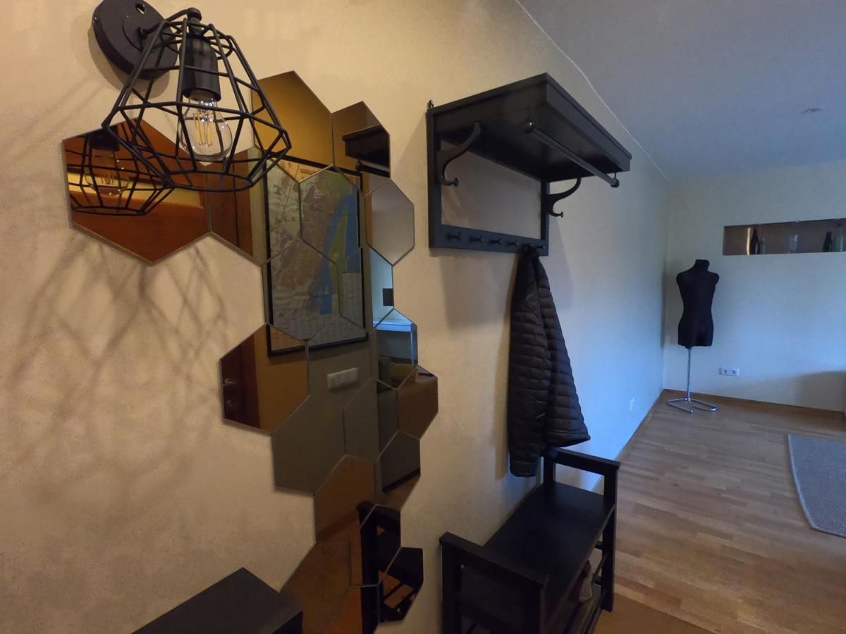 Апартаменты Smelte Studio Apartment Клайпеда-22